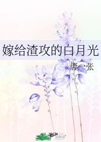 �޸������İ��¹�