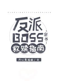 ����BOSS����ָ��[����]
