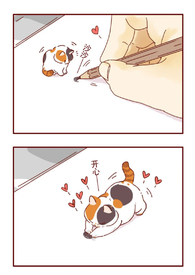 �Ҽ�������