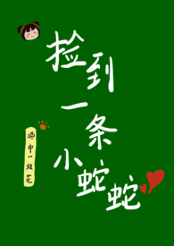 ��һ��С����