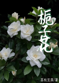���ӻ� (��Ů1v1��